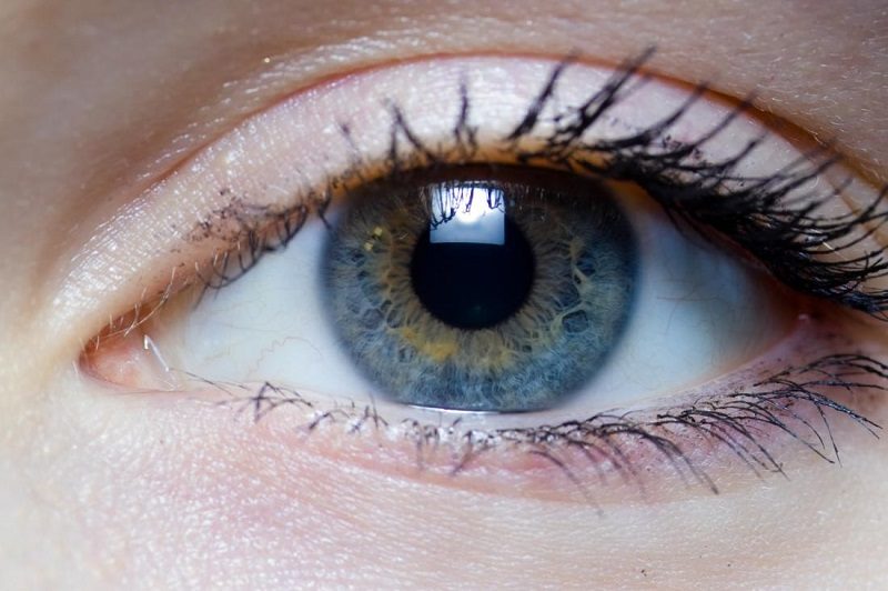 ارتباط کاهش بینایی و ناتوانی ذهنی