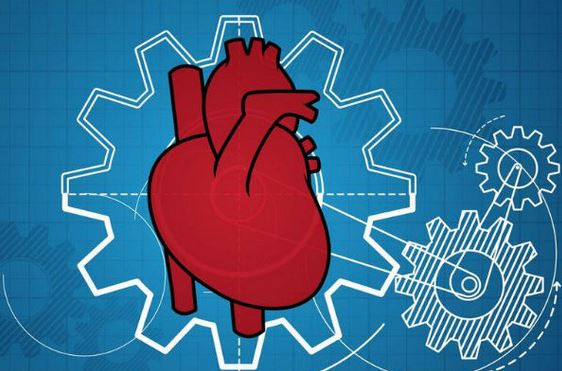تولید بافت قلب انسان با کمک پرینترهای سه بعدی