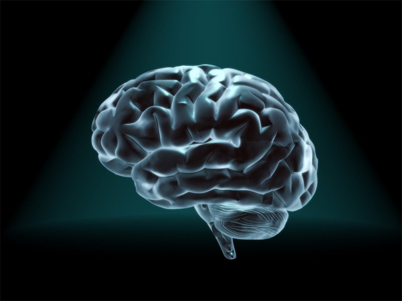 مغز چگونه بین دانش و جهل تصمیم‌گیری می‌کند؟