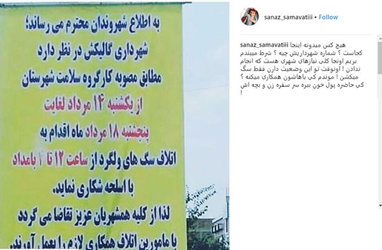 عکس: انتقاد تند بازیگر زن از سگ کشی در گلستان 