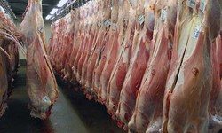 گوشت در مرز کیلویی ۶۰ هزار تومان