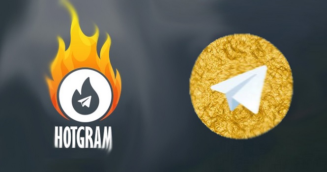 جهرمی: امنیت تلگرام‌های ایرانی را تأیید نمی‌کنیم 