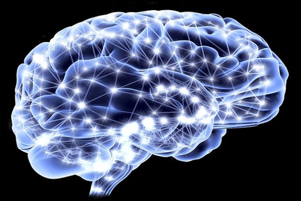 سیستم «ثبت سیگنال‌های عصبی از سطح مغز» ساخته شد