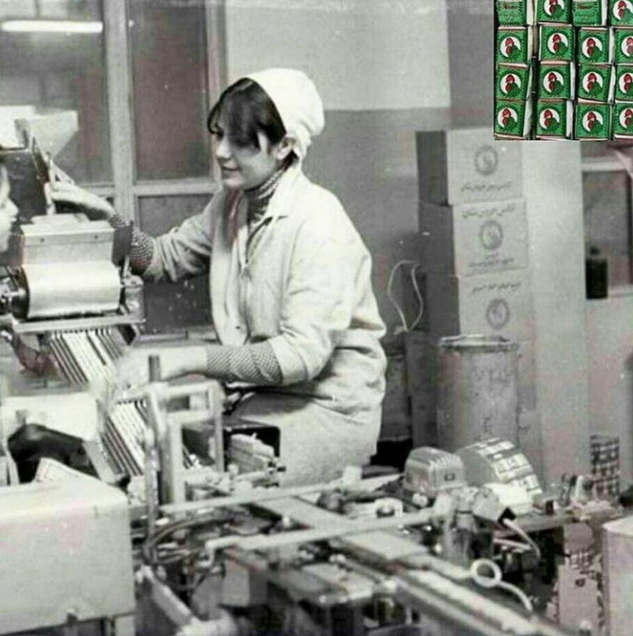 عکس | کارخانه آدامس خروس در دهه ۵۰ 