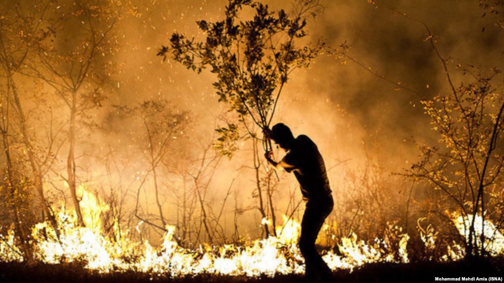  آتش سوزی مرگبار جنگل‌های اطراف مریوان 
