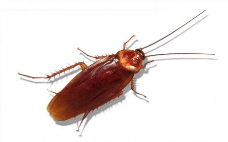 See the source image