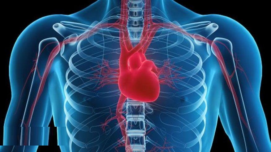 آیا گروه خونی در ابتلا به بیماری قلبی اثر دارد؟