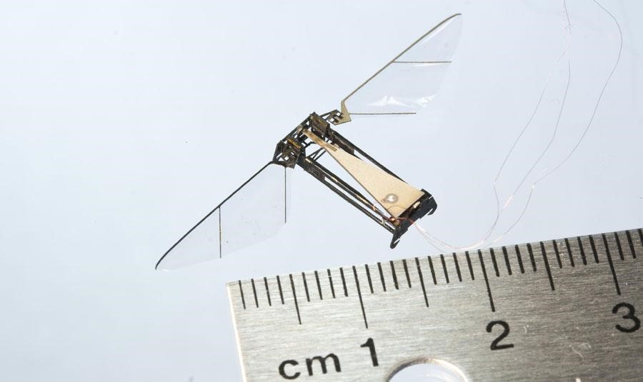  رباتی کوچکتر از گره کاغذ 