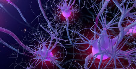  تولید سلول‌های عصبی مهندسی‌شده برای بهبود درمان بیماری‌های عصبی