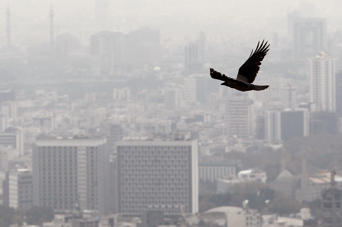 چگونه امریکا آلودگی هوا را مهار کرد؟ 