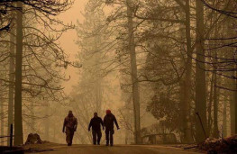  ایالت کالیفرنیا آلوده‌ترین نطقه جهان شد 
