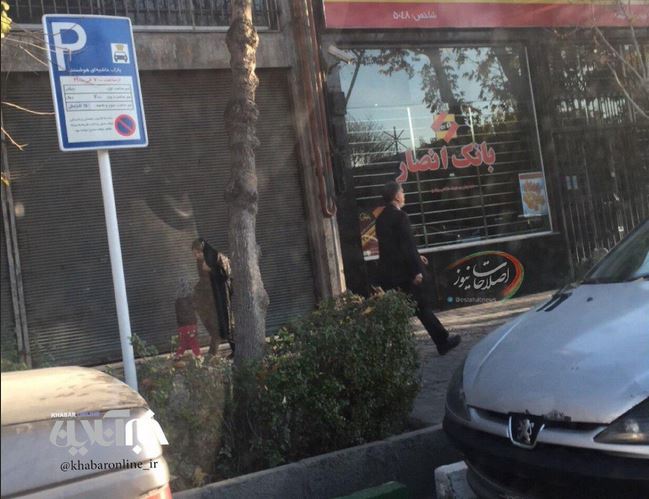 عکس: وزیر ارشاد بدون محافظ در مشهد 