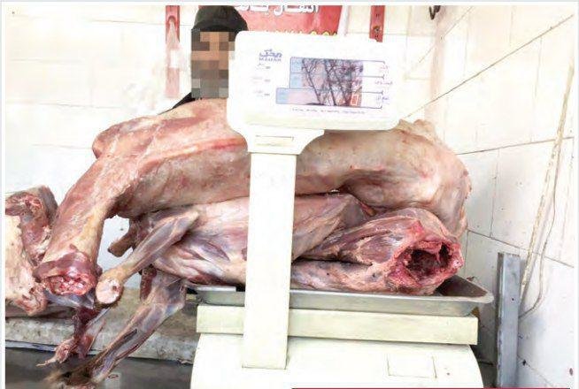  کشف لاشه سگ در یکی از قصابی‌های مشهد! +عکس