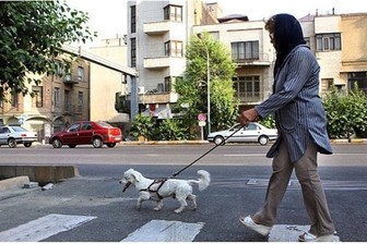 سگ‌گردانی در پایتخت ممنوع شد