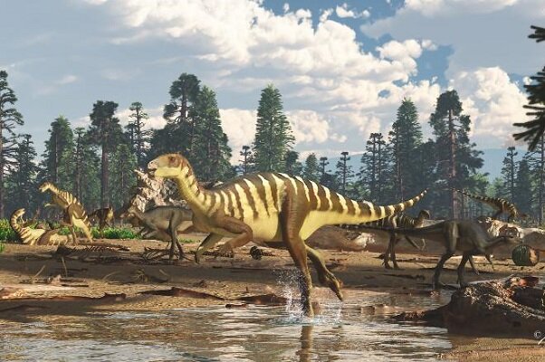 کشف فسیل ۱۲۵ میلیون ساله دایناسور در استرالیا
