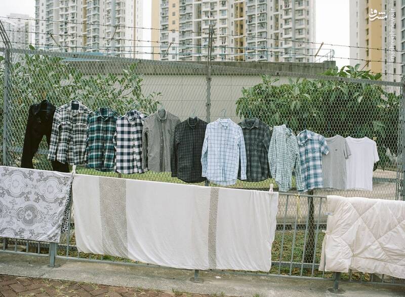 خشک کردن لباس در مکان‌هایی که فکرش را نمی‌کنید +عکس