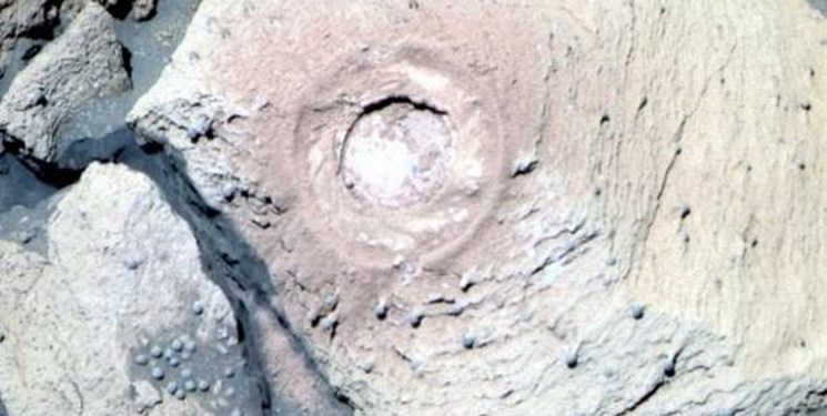 نشانه‌های حیات در مریخ/ تصاویر ناسا از قارچ‌های مریخی 