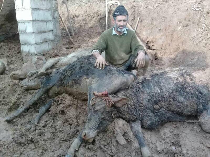 عکسی دردناک از سیل لرستان