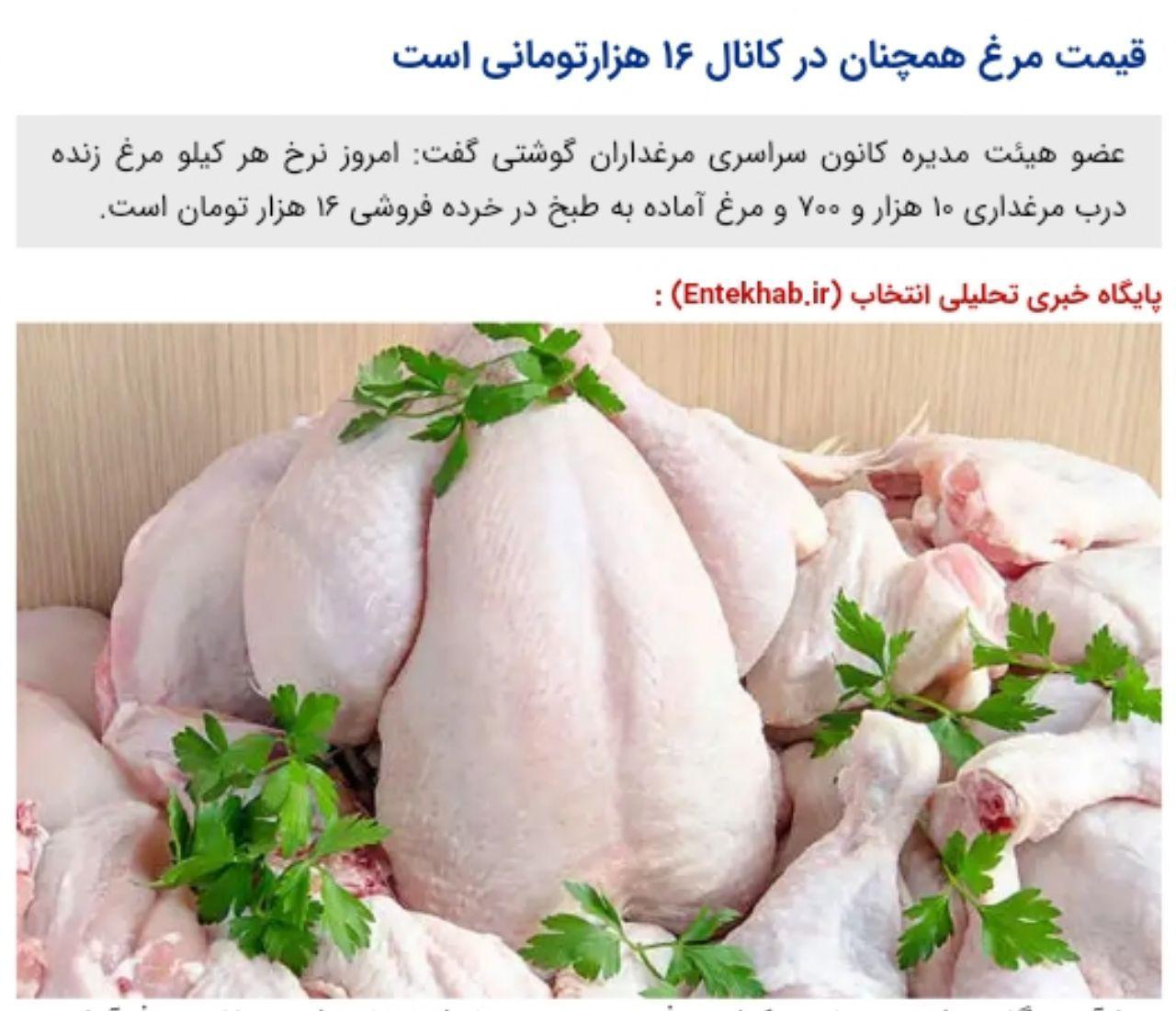 قیمت مرغ همچنان در کانال ۱۶ هزارتومانی است
