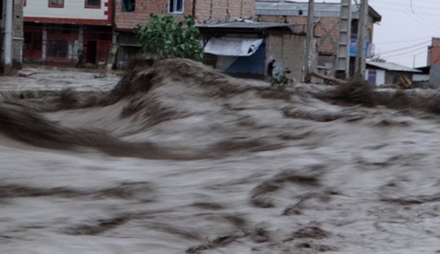 موج‌سواری ژن خوب روی سیل! +عکس
