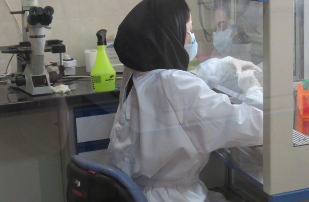 مرکز تحقیقات ریز فناوری پزشکی در دانشگاه ایران راه اندازی شد