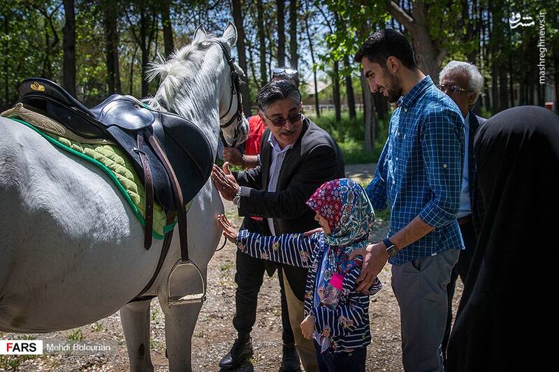 حراج ۲۰ اسب به نفع سیل‌زدگان در تهران +عکس