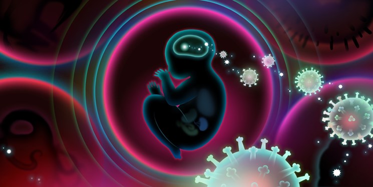 تزریق ژن اصلاح‌شده به مغز جنین راهی برای جلوگیری از اوتیسم