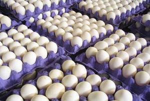 قیمت جدید تخم مرغ پس از صادرات اعلام می‌شود