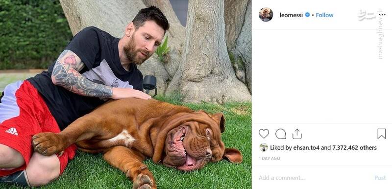  مسی در کنار حیوان خانگی‌ عظیم جسه اش + عکس