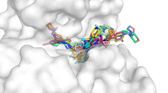 روش جدید برای یافتن سریع پروتئین‌ها