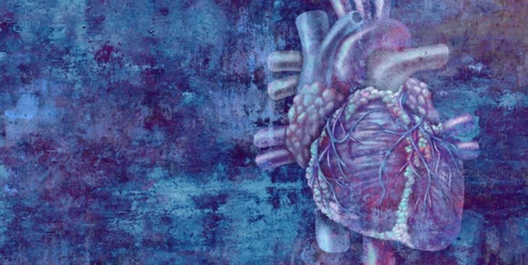 بازسازی بافت قلب با سلول‌های بنیادی جنینی