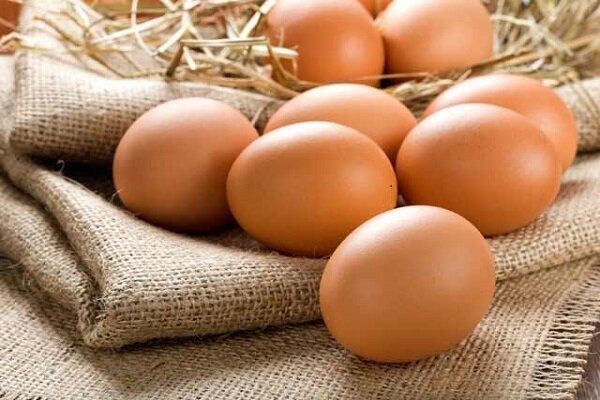 افزایش ریسک بیماری‌های قلبی با مصرف روزانه بیش از دو تخم مرغ