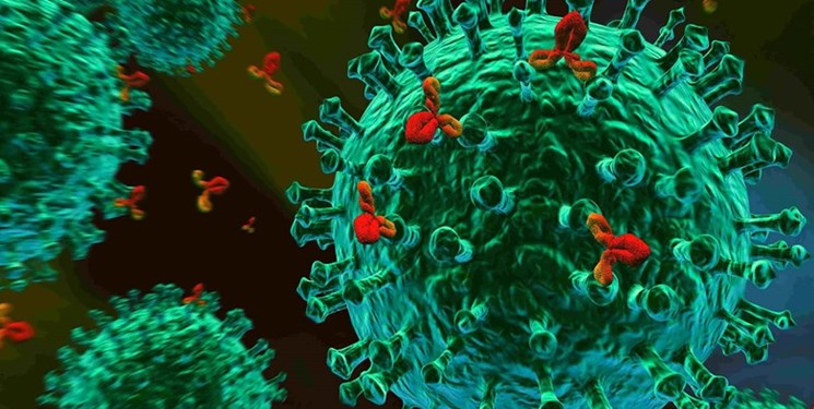 نقش متابولیسم در عملکرد سلول‌های ایمنی