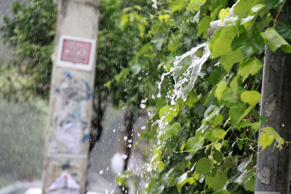 بارش شدید باران تابستانی در نوشهر مسافران را غافلگیر کرد +عکس