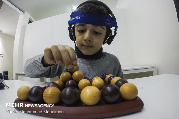 نماینده ایران به مسابقات جهانی «دانش مغز» معرفی شد