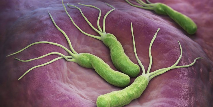 شناسایی نقطه ضعف تازه در باکتری‌های قلدر