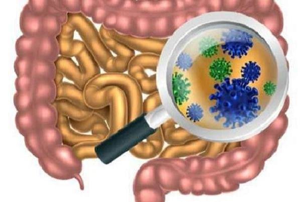 باکتری‌های روده روند بیماری ALS را کُند می‌کنند