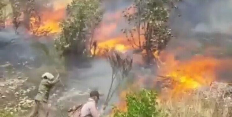 هشدار محققان: منابع کره زمین در سال ۲۰۱۹ به شدت کاهش یافته است 