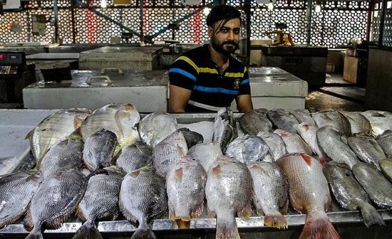  وضعیت ناراحت کننده بازار فروش ماهی در بندرعباس +عکس