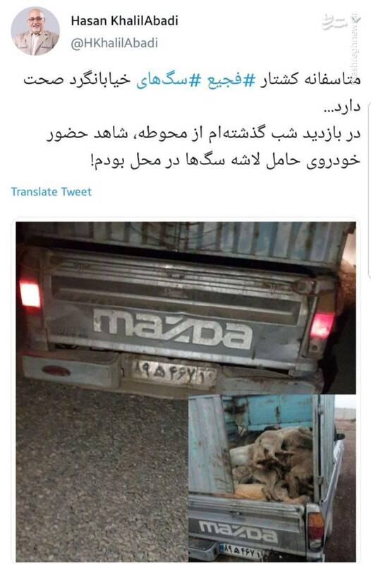 پدیده‌ی «سگ‌کشی» در تهران صحت دارد + عکس