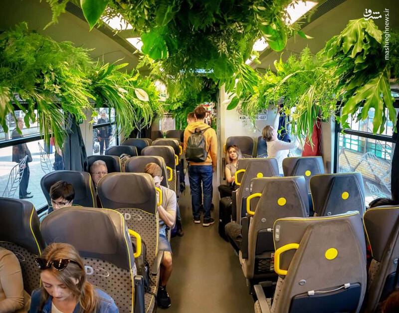 سفر با این قطار روحیه مسافران را عوض می‌کند+عکس