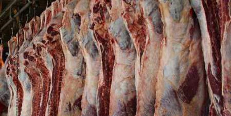 تولید حسگر زیستی برای شناسایی باکتری خطرناک گوشت