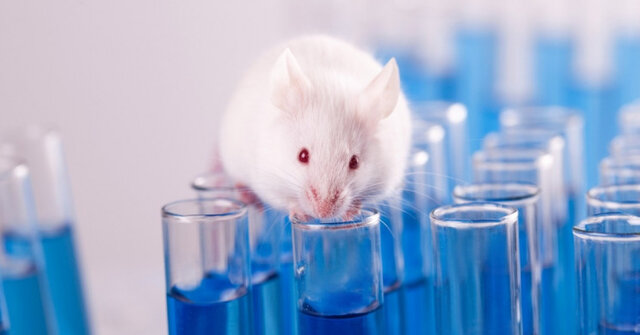  آزمایش روی حیوانات تا سال ۲۰۳۵ برچیده می‌شود