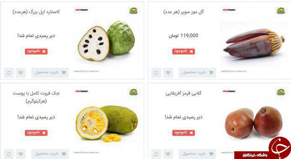 فروش میوه دانه‌ای ۱۲۰ هزار تومان +عکس