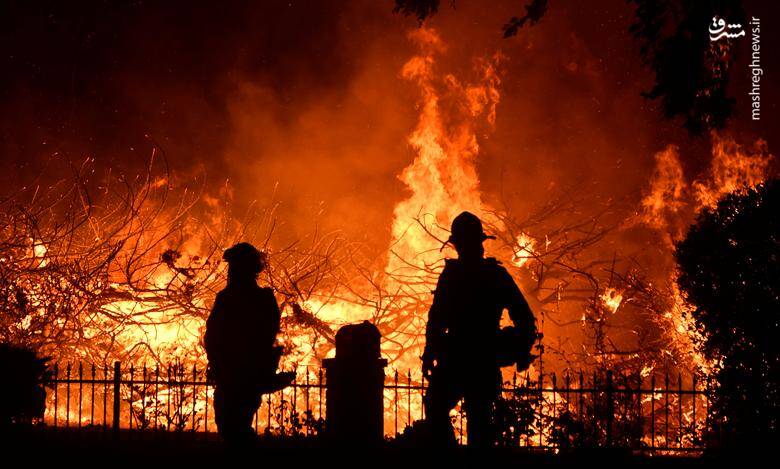 کالیفرنیا در آتش سوخت +عکس