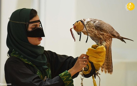 علاقه عجیب زنان عربستانی به شاهین شکاری +عکس