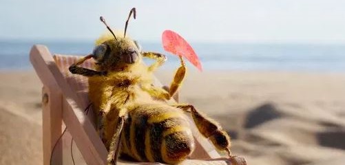 این زنبور عسل سلبریتی اینستاگرام است +عکس