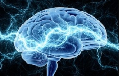 بررسی بیماری‌های عصبی در مدرسه تابستانی علوم اعصاب شناختی