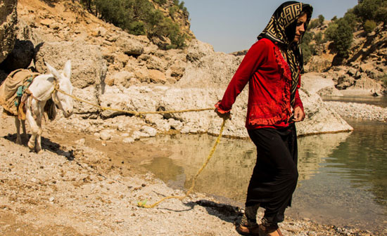 زنان بختیاری و مسیر سخت آبرسانی با الاغ+عکس