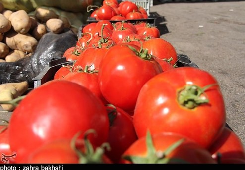 گوجه ۹ هزار تومان شد +قیمت انواع میوه 